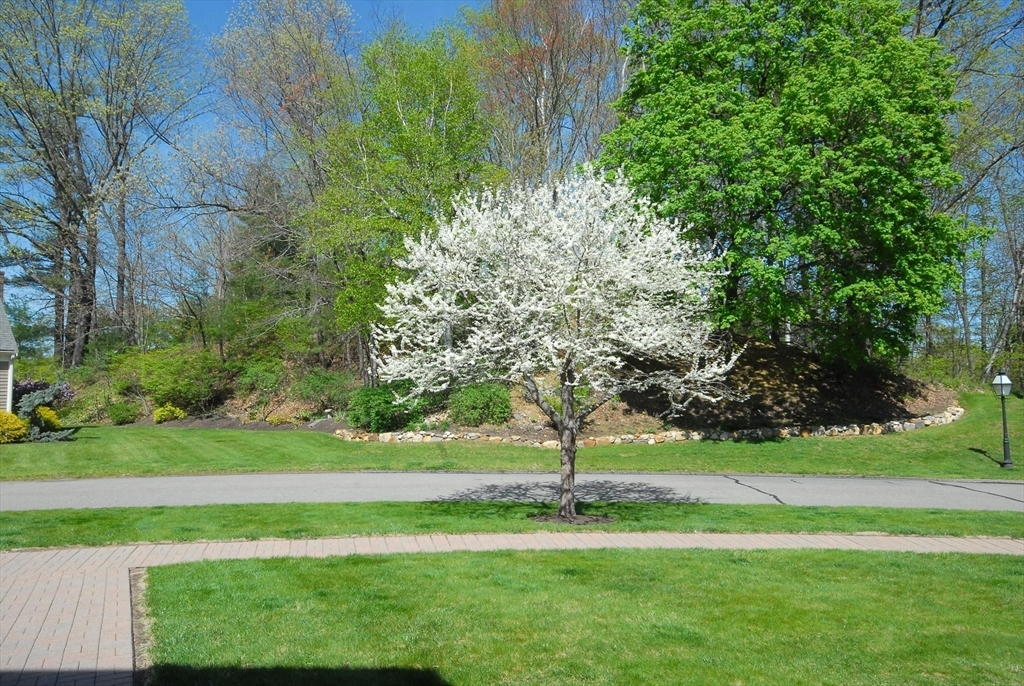Property Photo:  15 Edmonds Road  MA 01742 