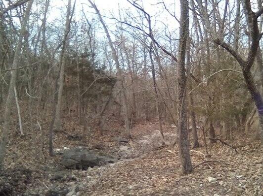 Property Photo: L5-6 Riviera Pomme De Terre N MO 65724