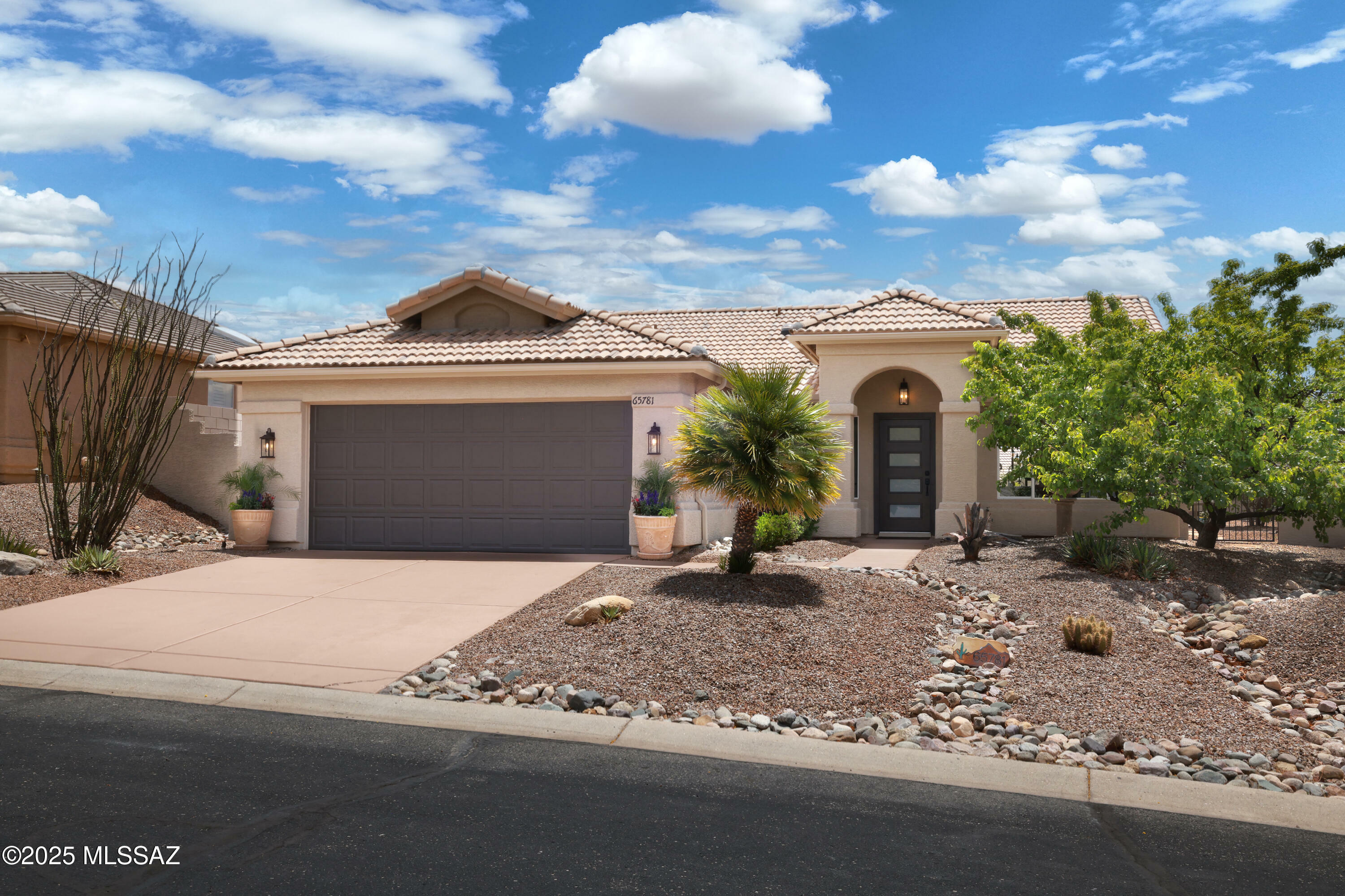 65781 E Rocky Terrace Drive  Tucson AZ 85739 photo