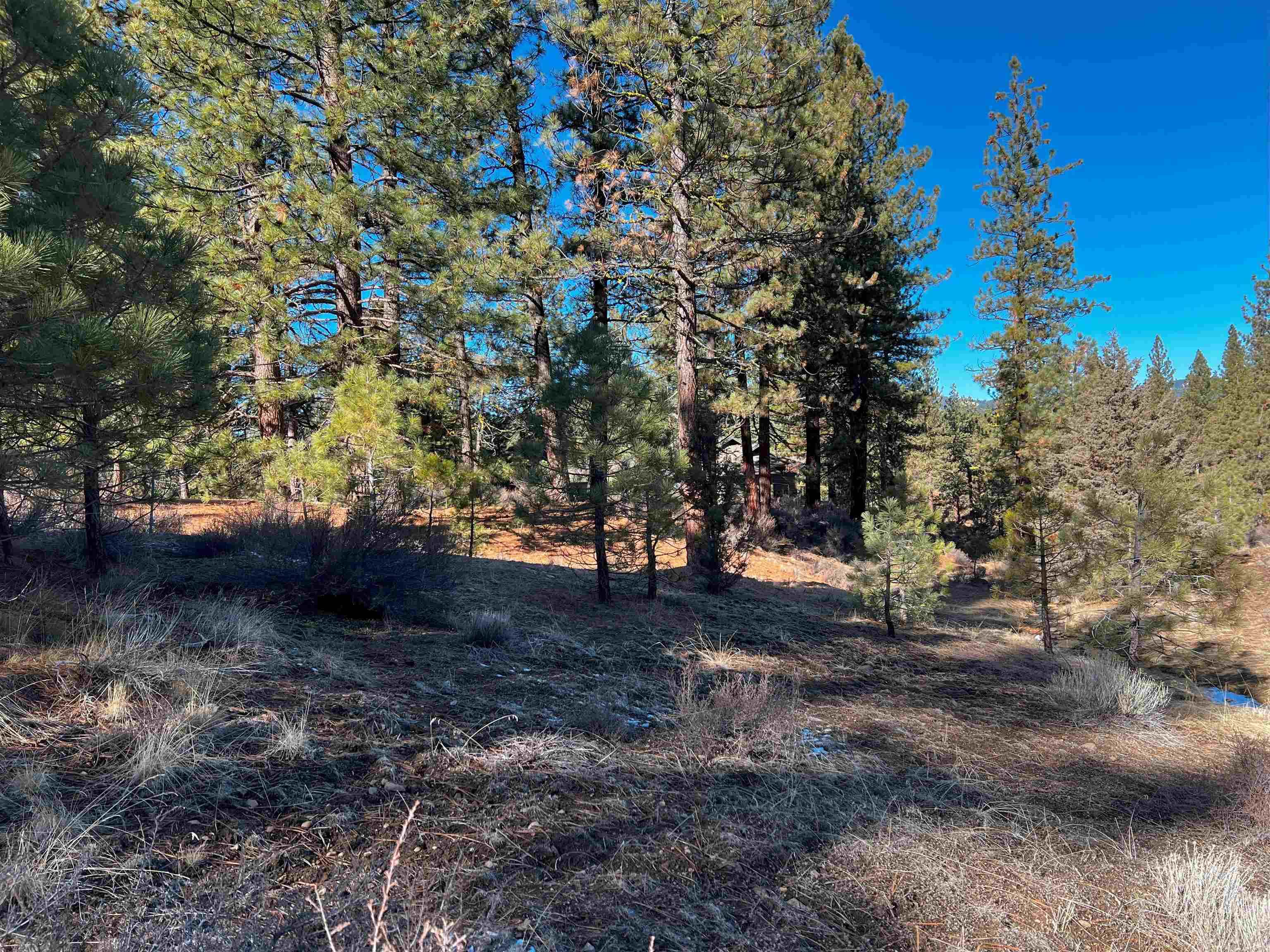 Property Photo: 450 Emerald Point CA 96122