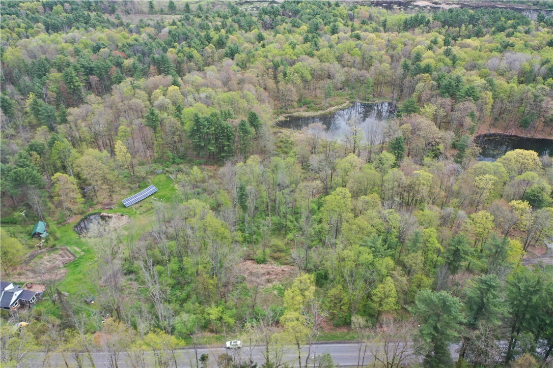 0 Coddington Road S  Brooktondale NY 14817 photo