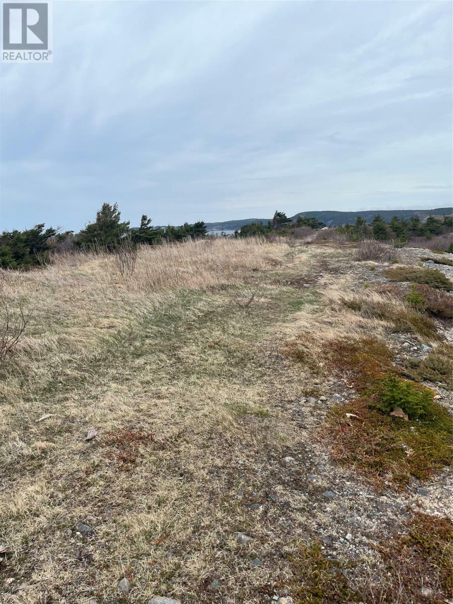 Photo de la propriété:  1B Main Road  NL A0C 1T0 