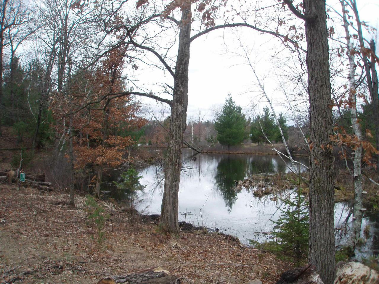 Property Photo: Lot 15 Wood Duck Trail WI 54494