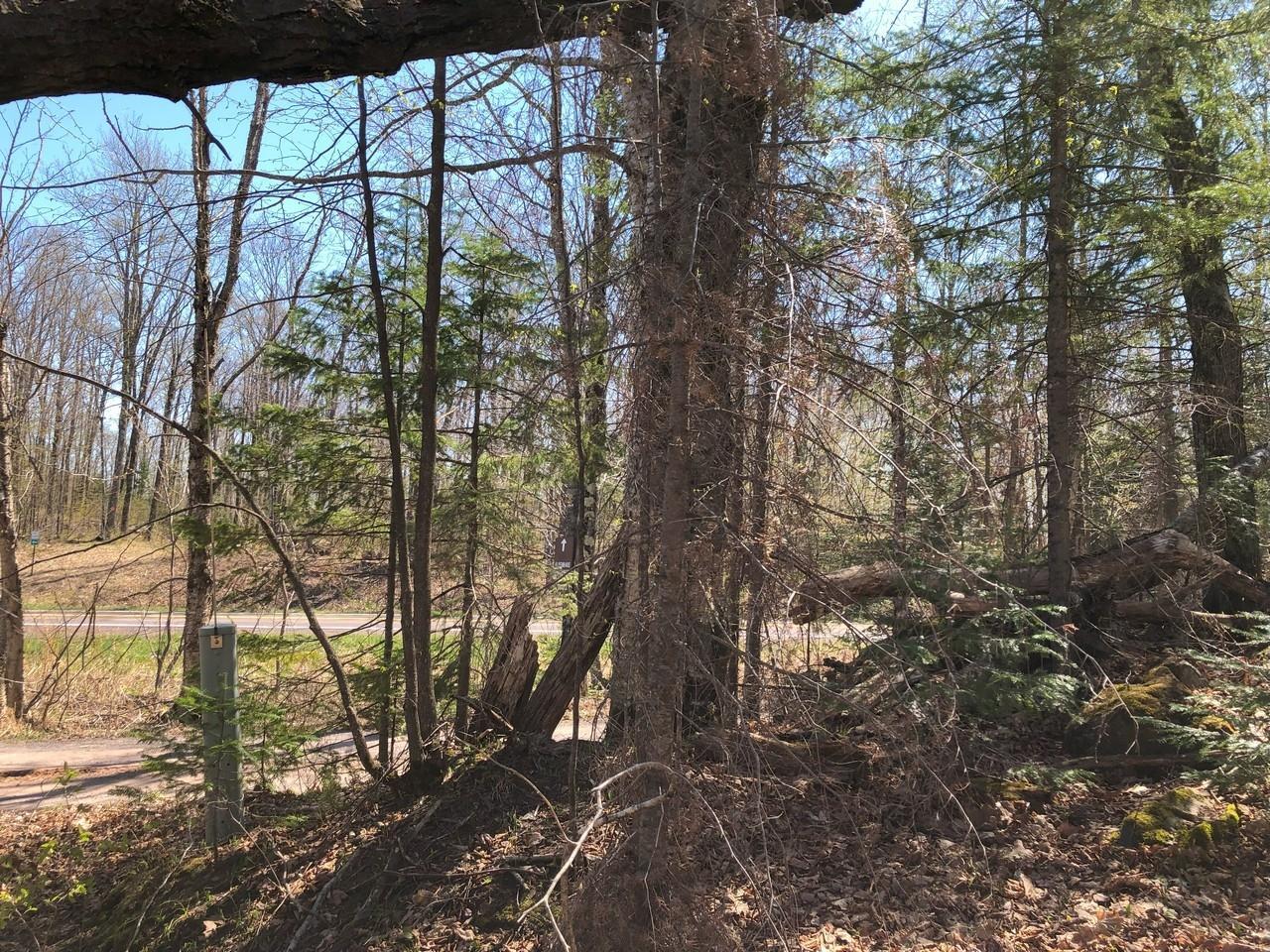 Property Photo: Lot 35 Alpine Dr WI 54565