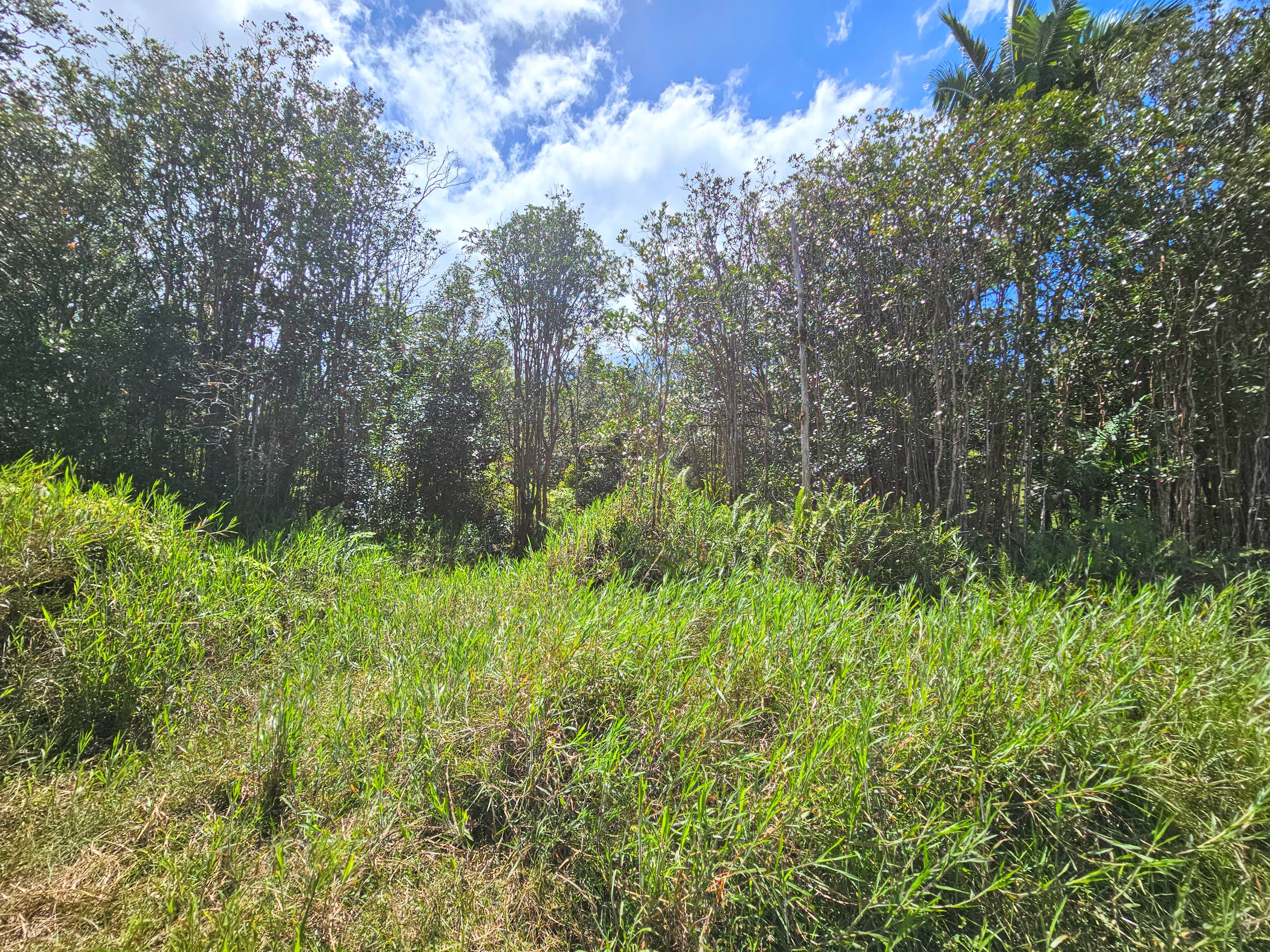Property Photo: Road 9 (Koloa Maoli) HI 96760