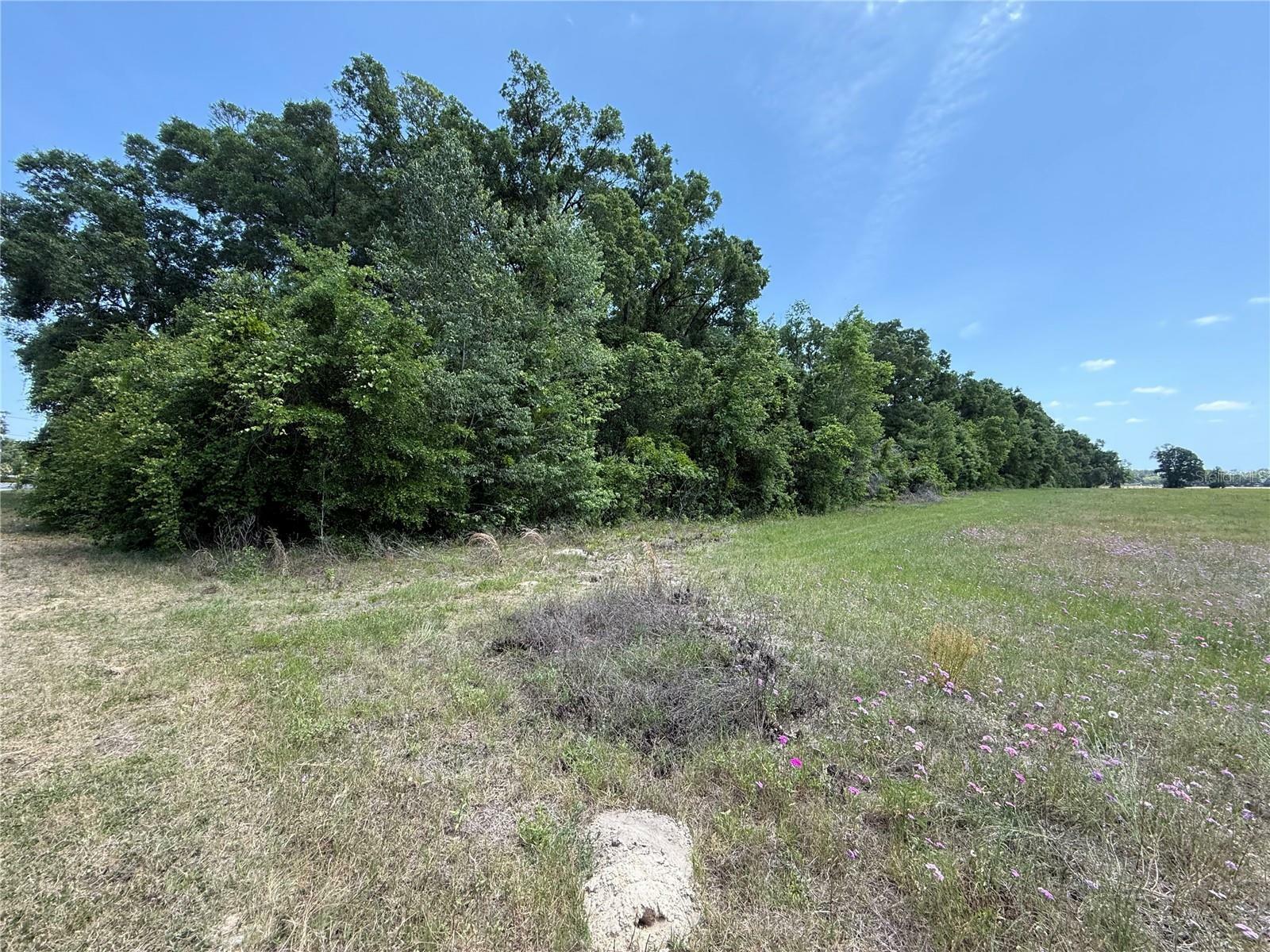 Property Photo: 0 NW 11th Avenue FL 32626