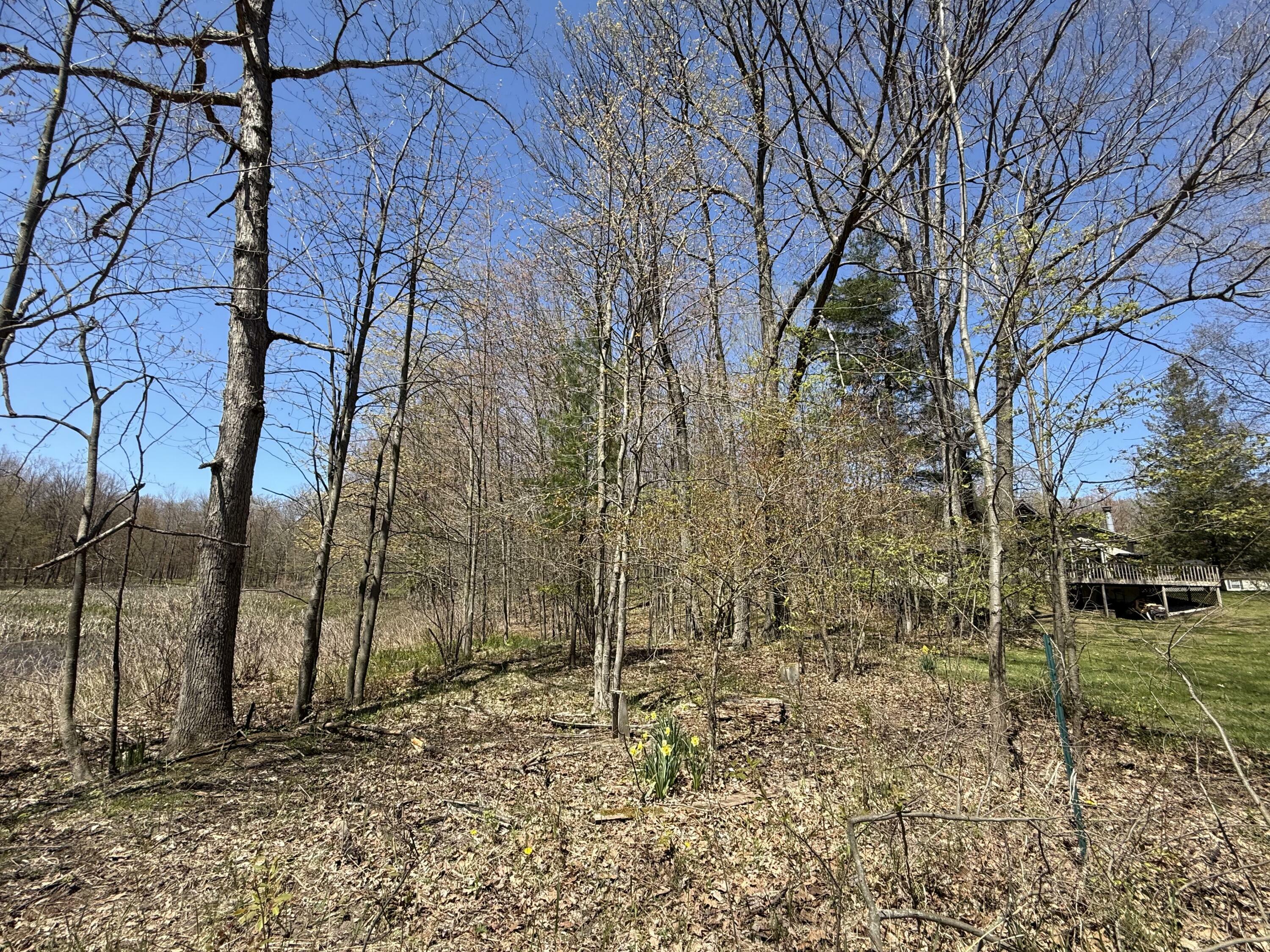 Property Photo: E Dennis Drive MI 49459