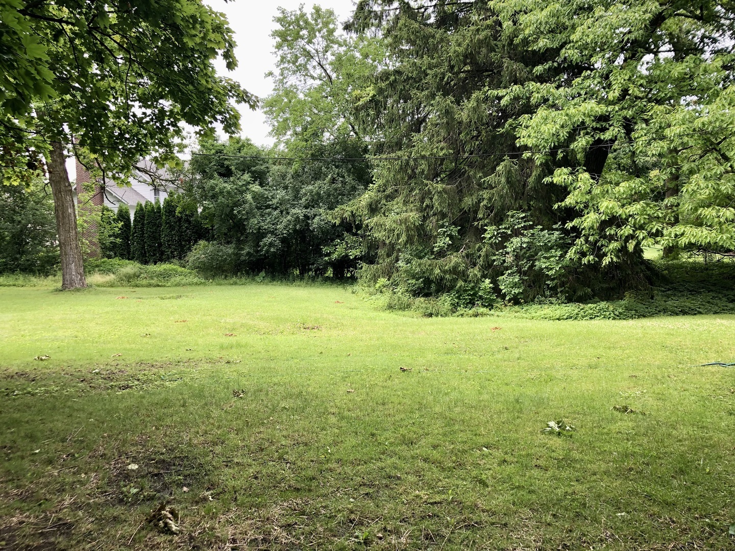 Property Photo: 870 Woodbine Lane IL 60045