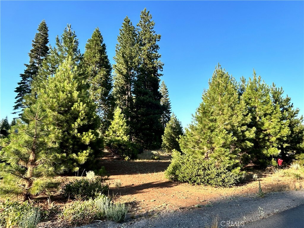 Property Photo: 179 Treetop Circle CA 96137