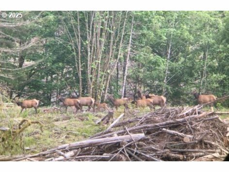 Property Photo: 73000 Clatskanie Heights Rd OR 97016