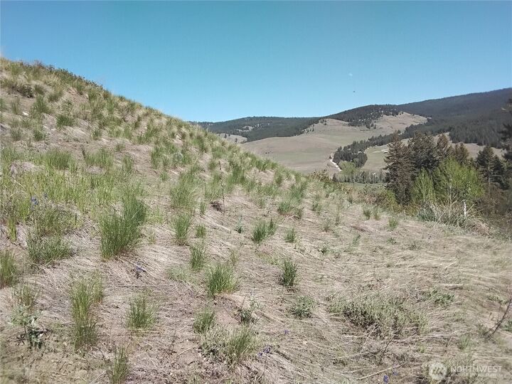 0  Gafvery Creek Road  Oroville WA 98844 photo