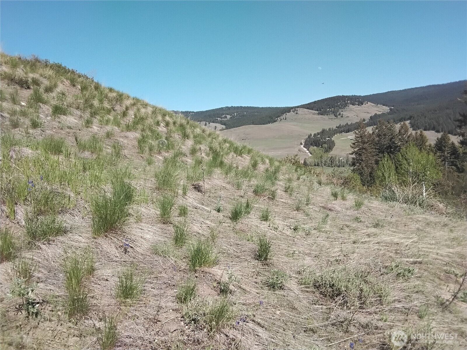 Property Photo: 0 Gafvery Creek Road WA 98844