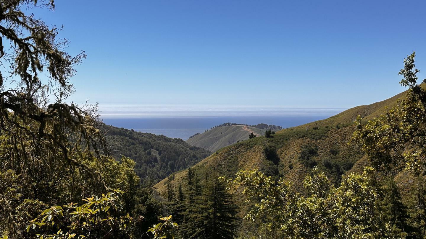 Property Photo:  37783 Palo Colorado Road  CA 93923 