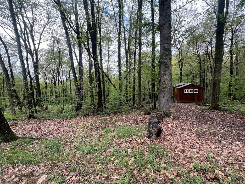 Property Photo: 0 Squirrel Road PA 16033