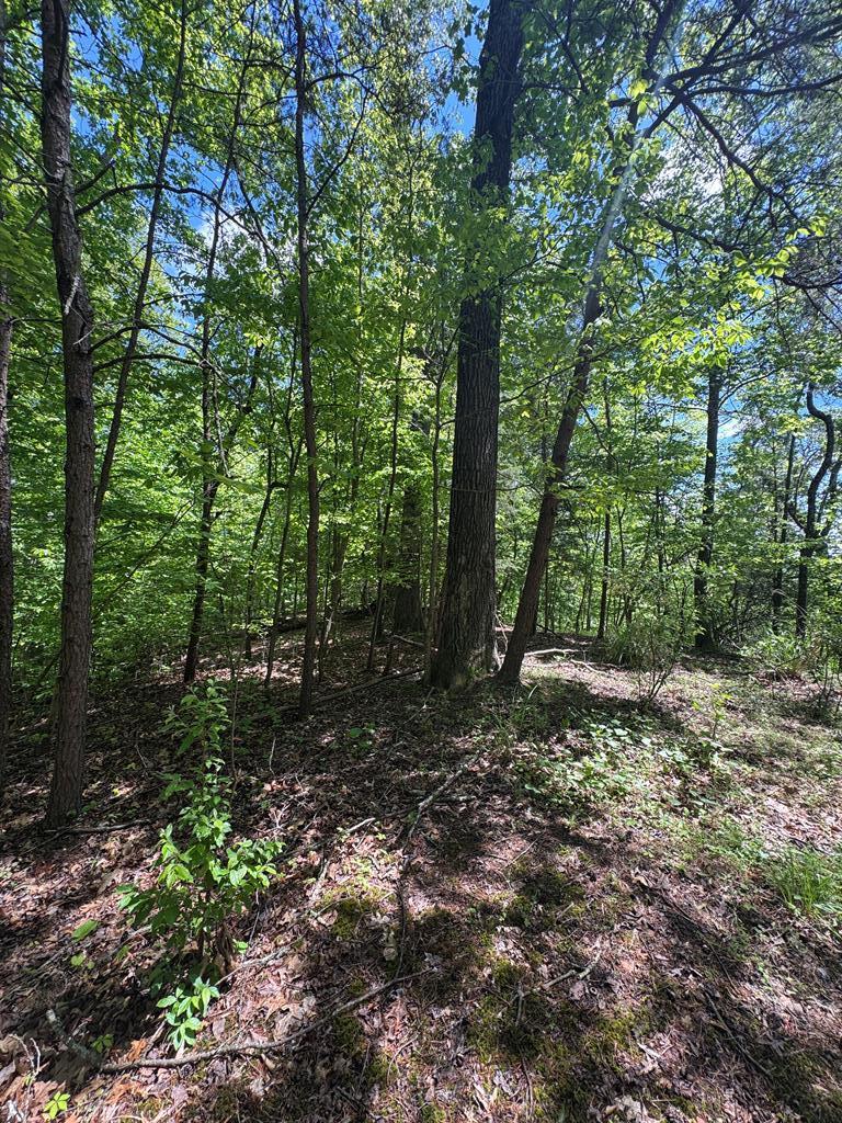 Property Photo:  000 Laurel Ridge  KY 41501 
