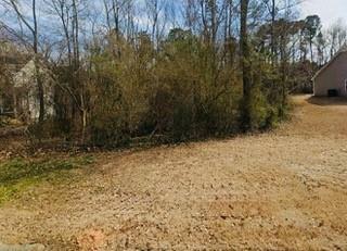 Property Photo: 119 Muscadine Way GA 30116