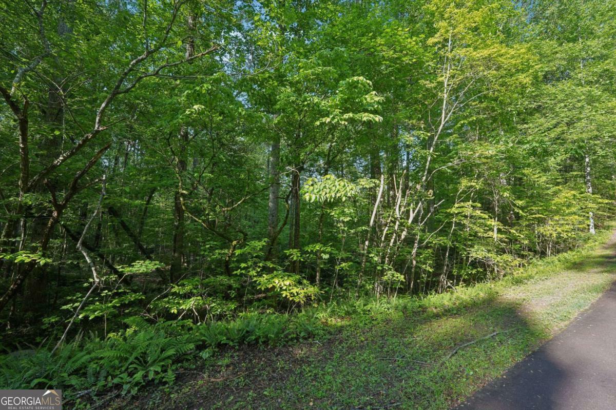 Property Photo: 43 Smith Circle GA 30534