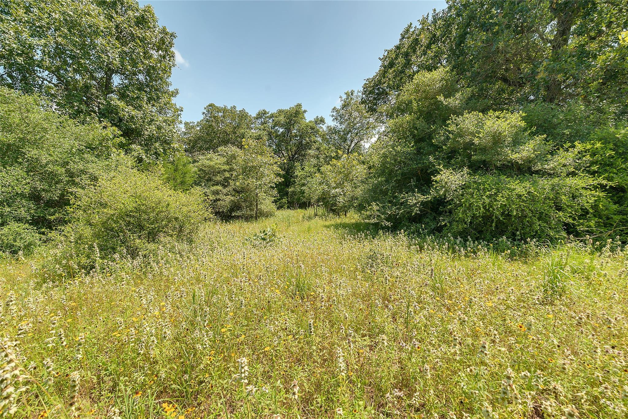 Property Photo: Parcel 19231 County Road 215 TX 78962