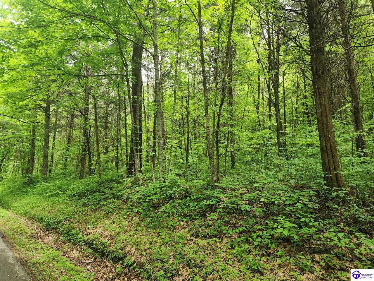 Property Photo:  Tract 2 E G Nash Road  KY 42721 