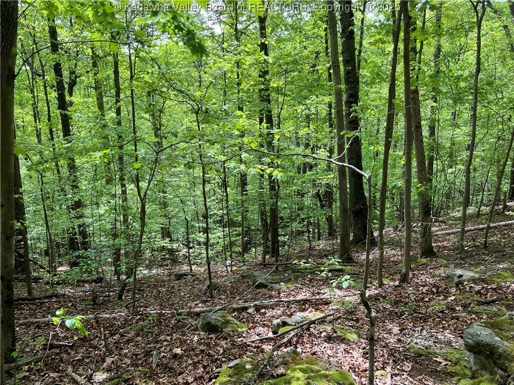 Property Photo: 0 Stonehenge Road WV 25314