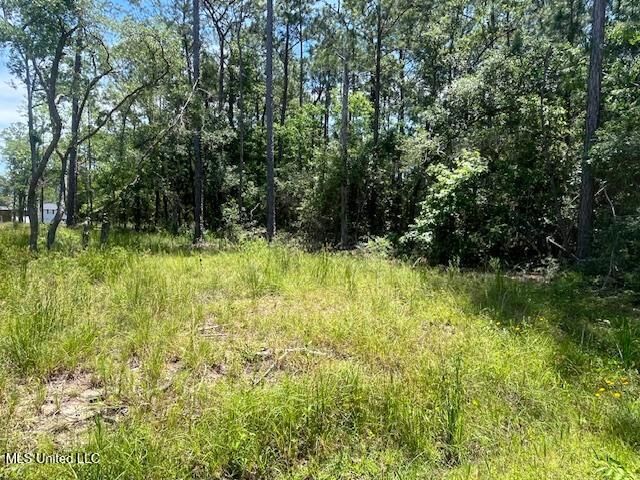 Property Photo: Lot 20 Birch , Lot 23 Pinewood MS 39571