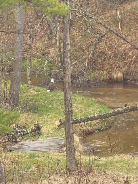 Property Photo:  1977 E 40th Street  MI 49349 