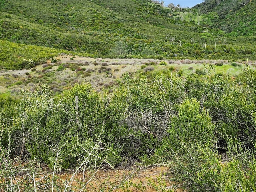 Property Photo:  10480 Sky High Ridge Road  CA 95457 
