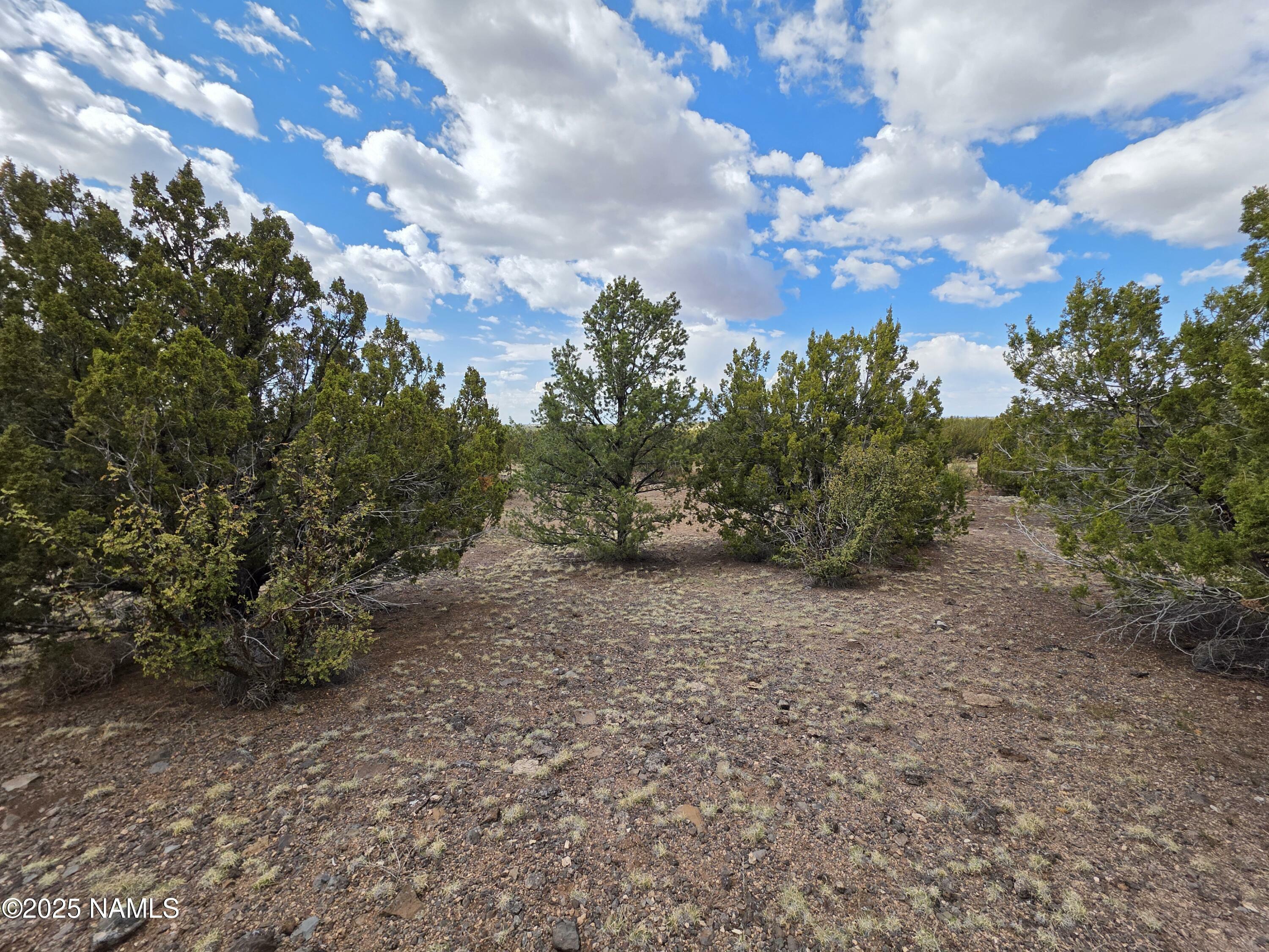 Property Photo:  3978 Whitetail Loop  AZ 86046 