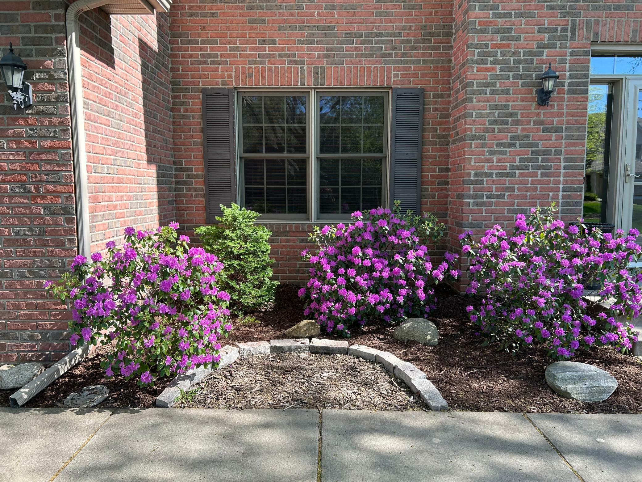 Property Photo: 13840 Clare Downs Way MN 55068