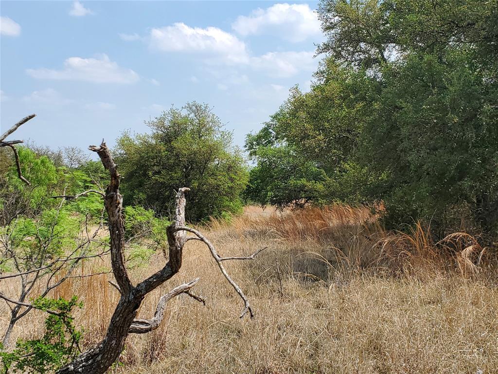 Property Photo: Tbd County Road 190 TX 76435
