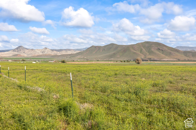 Property Photo: 2203 S 1770 W 1 UT 84620