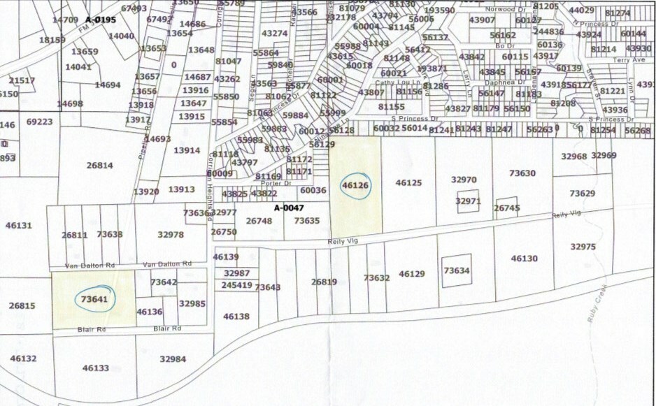 Property Photo:  L46126 Reily Village  TX 75939 
