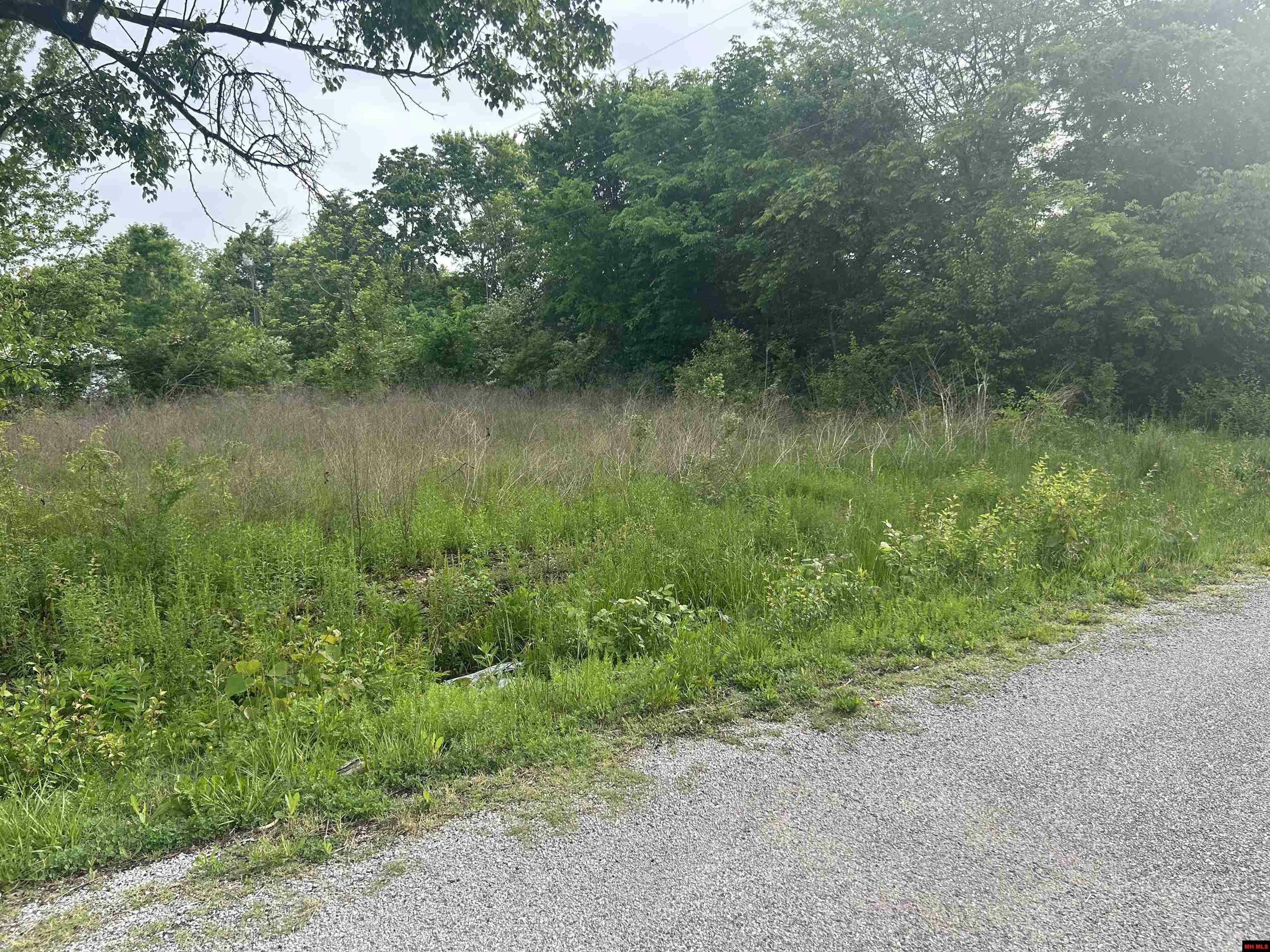 Property Photo: Lot 25 Meadowdale Street AR 72653