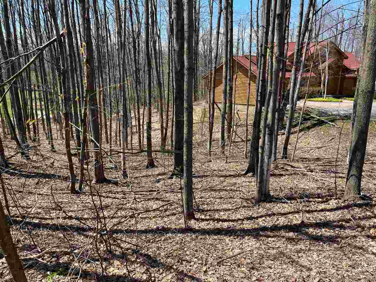 Property Photo: 4630 Deer Park MI 49740