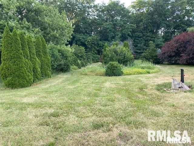 Property Photo: 0 N Route 29 Highway IL 61523