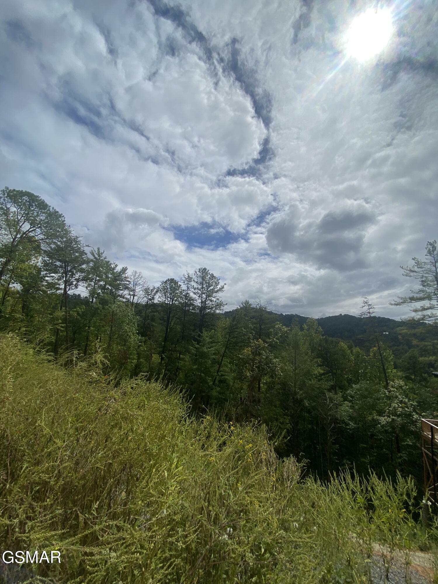Property Photo: Lot 9 Sunset Road TN 37876