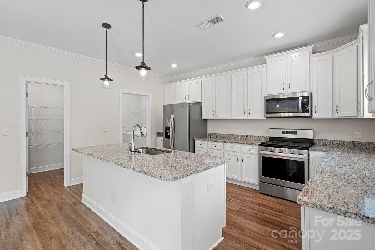 Property Photo: 687 Cape Fear Street SC 29715
