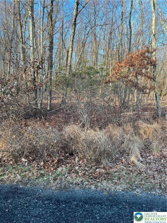 Property Photo: 3 Apple Lane 588 PA 18229