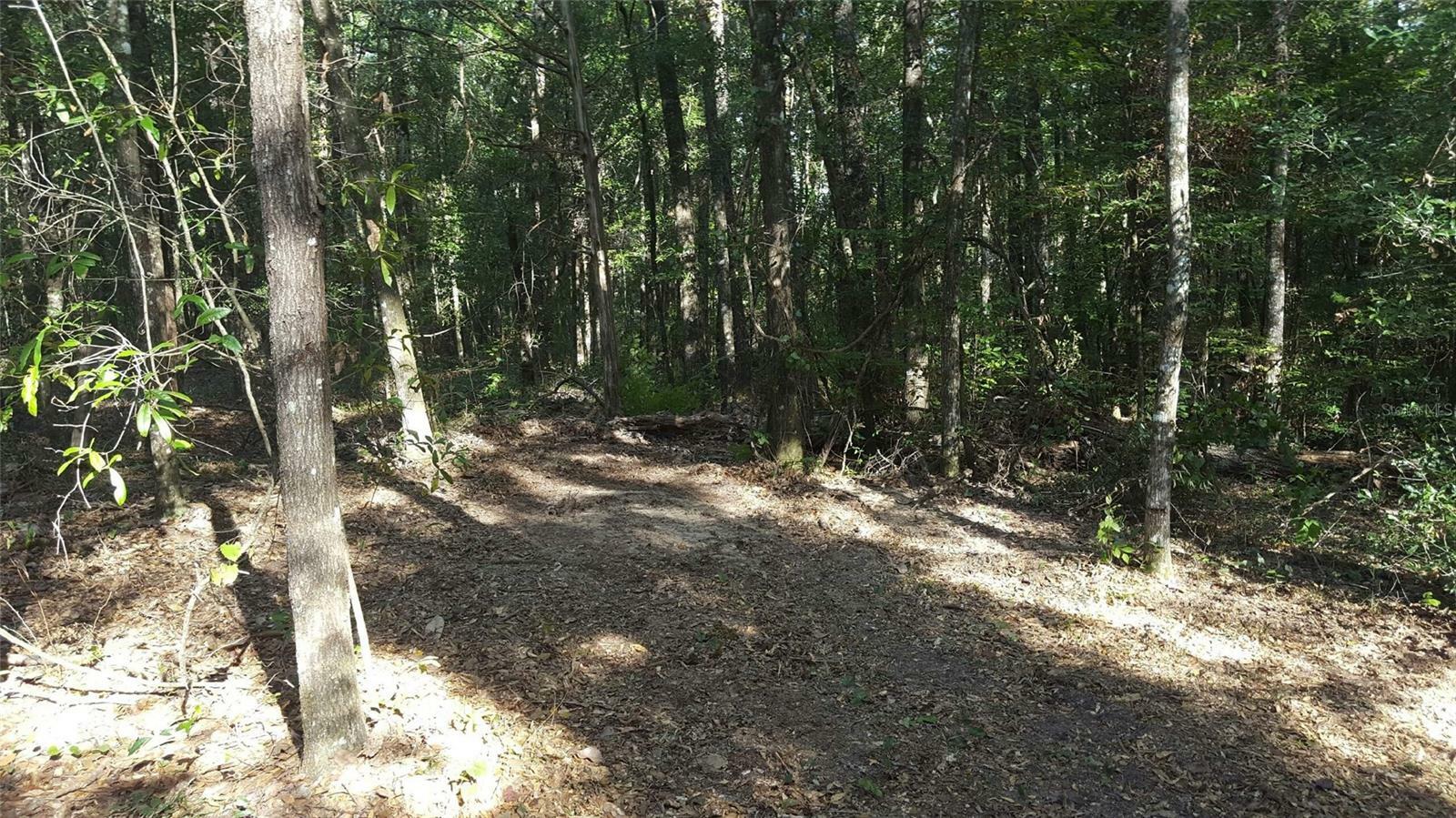 Property Photo: 0000 Rooks Dr FL 32446
