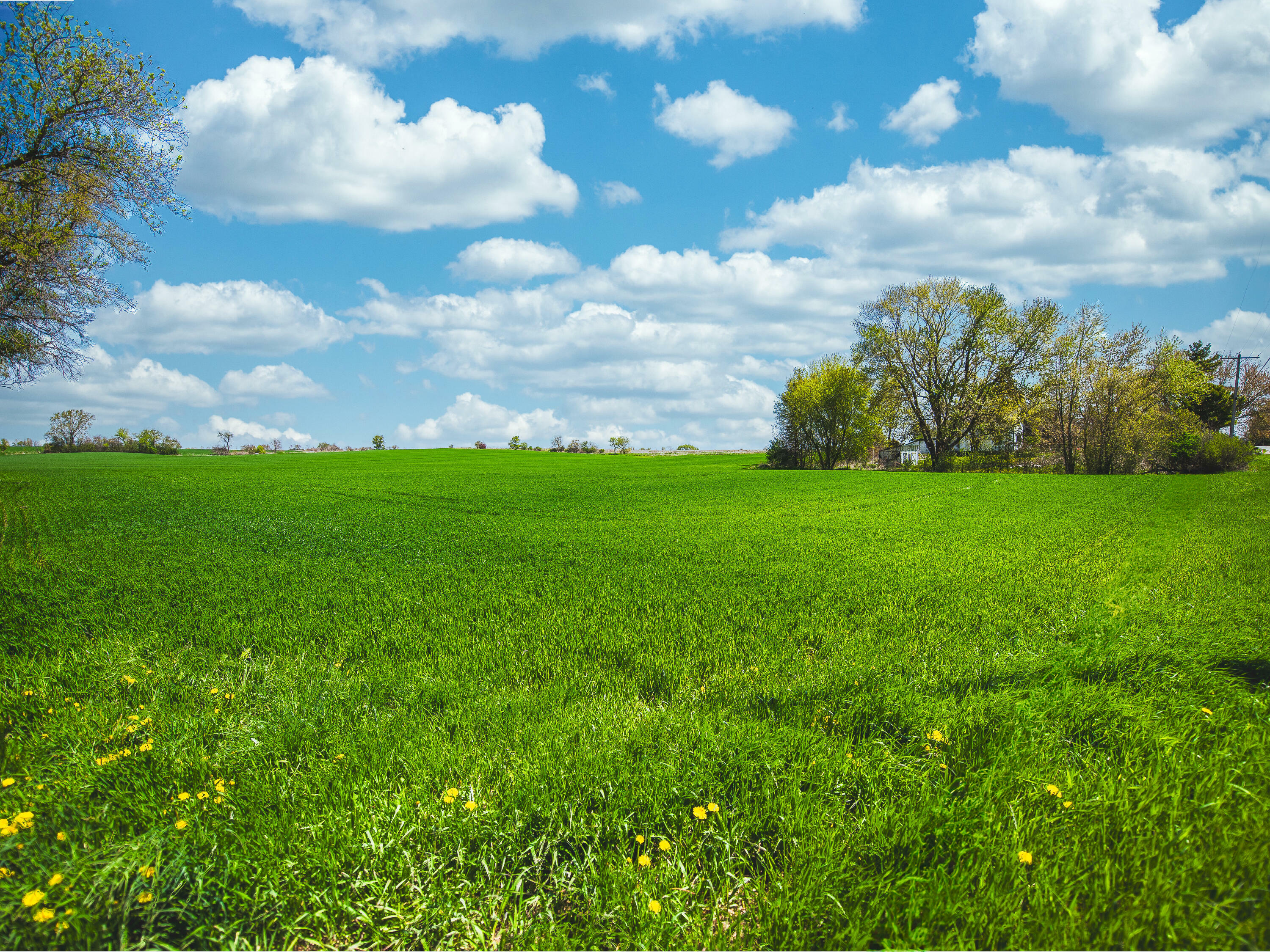 Property Photo: