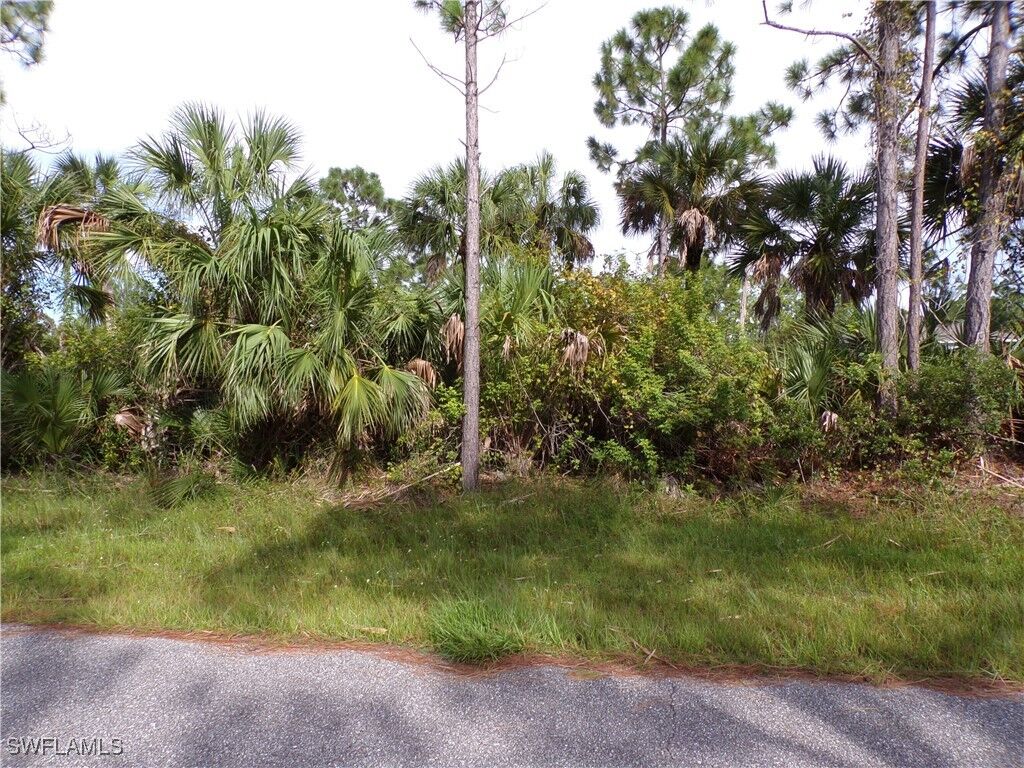 Property Photo: 3206 Callisto Street FL 33981