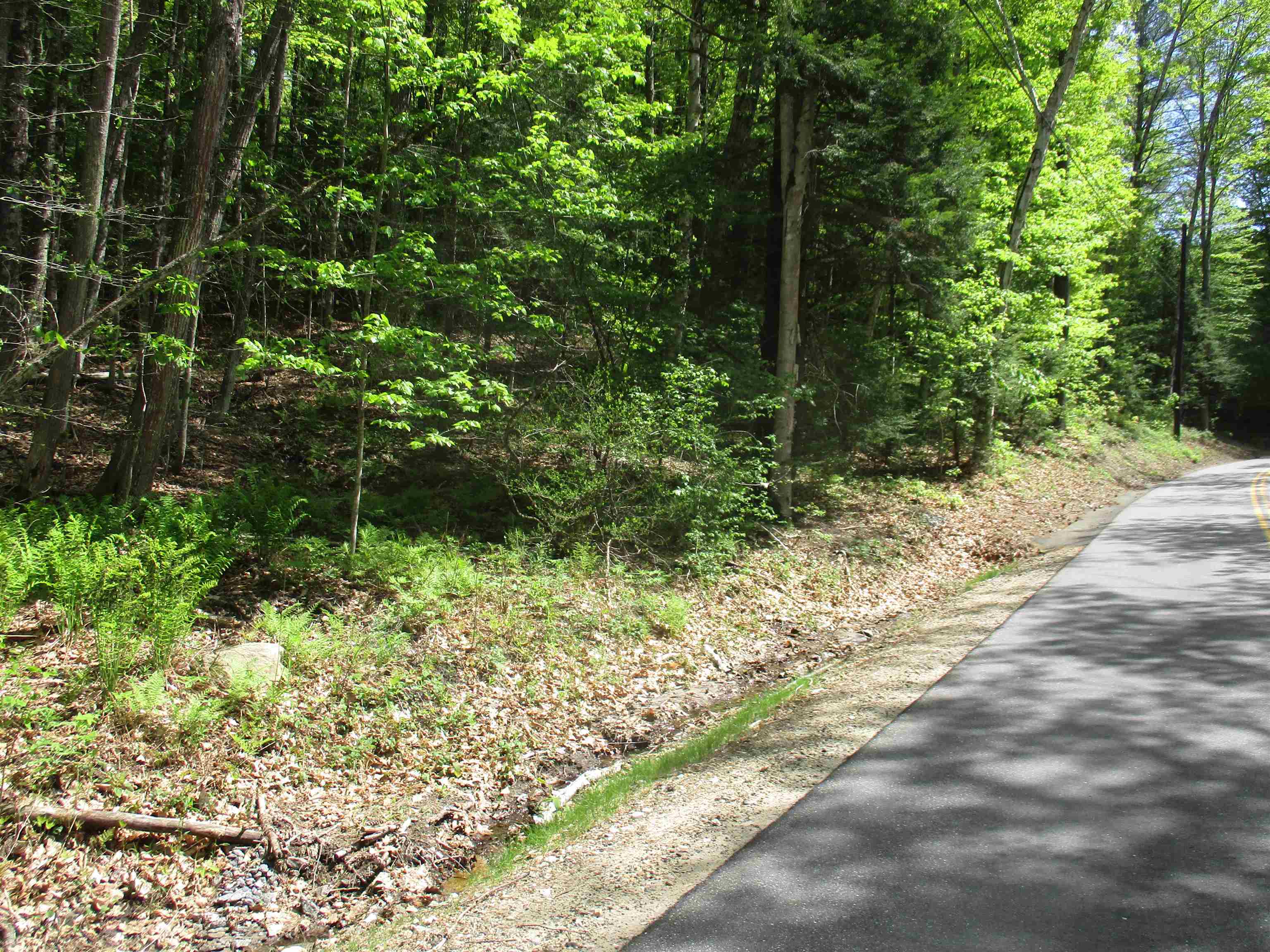 Property Photo: Tbt Bog Road NH 03045