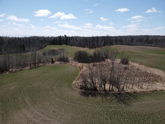 Tbd Alfalfa Drive NW  Shevlin MN 56676 photo