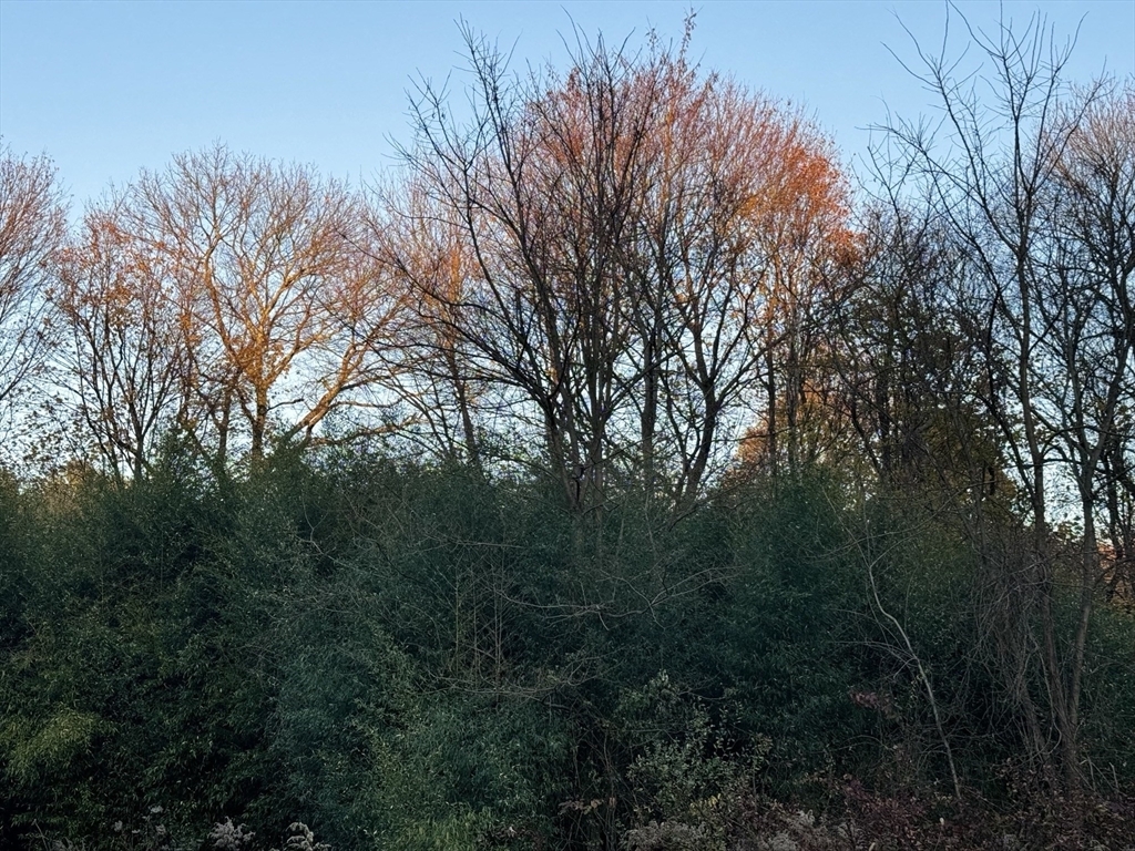 Property Photo: Lot 9 Lawler Ln MA 02072