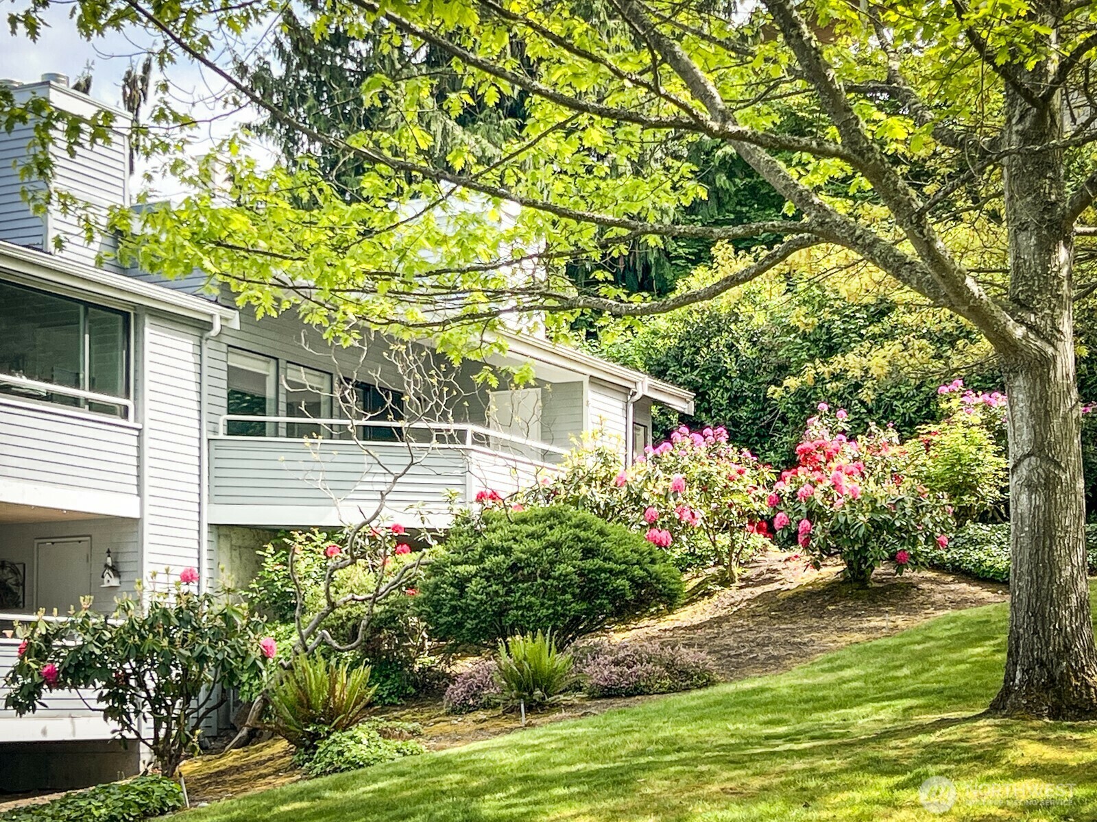 1224  6th Avenue S C305  Edmonds WA 98020 photo