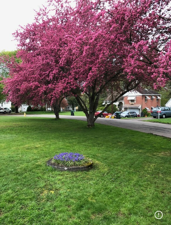 Property Photo: 1409 Arch Drive NY 13850