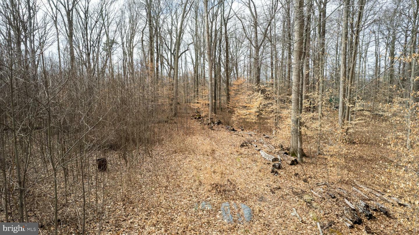 Property Photo: 1306 John Brown Road MD 21658