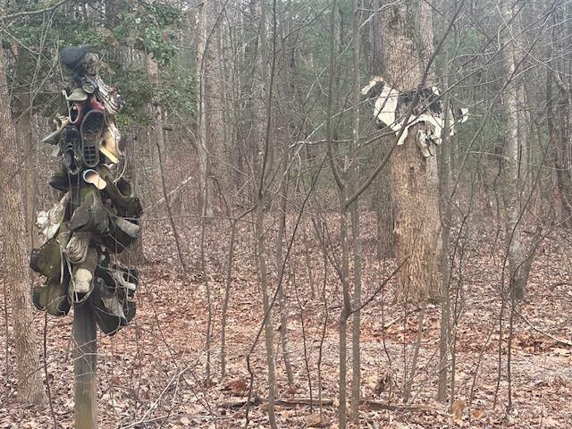 Property Photo:  38 &Amp51 Mountain Crest Road  GA 30534 