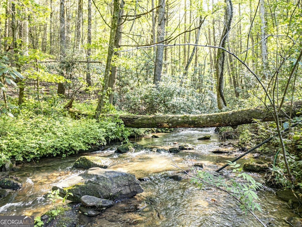 Property Photo: 8556 Highway 2 GA 30541