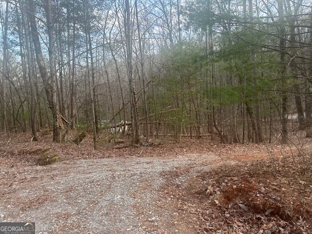 Property Photo:  38 &Amp51 Mountain Crest Road  GA 30534